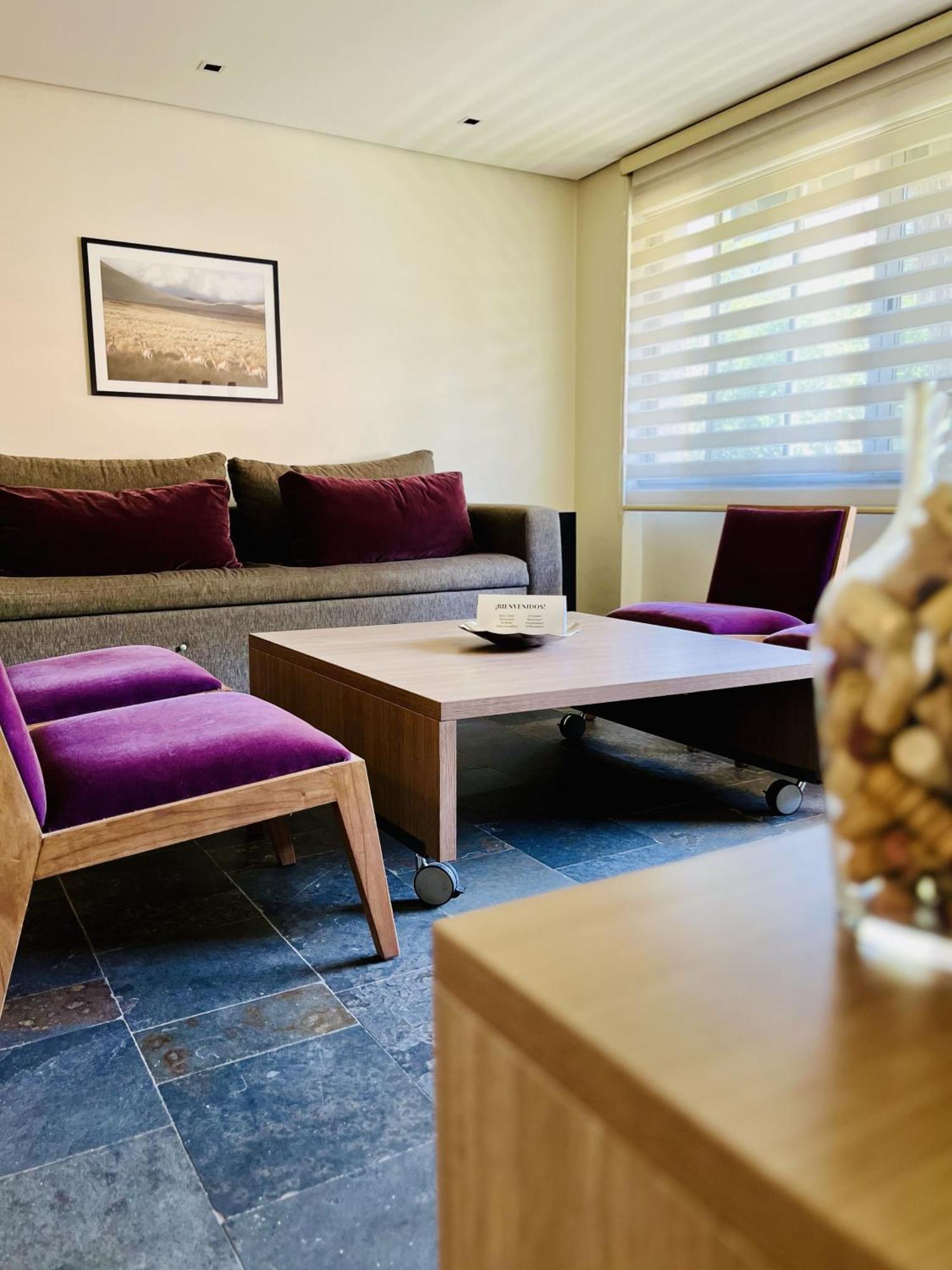 Apartamento La Sofia Apart&wines Mendoza