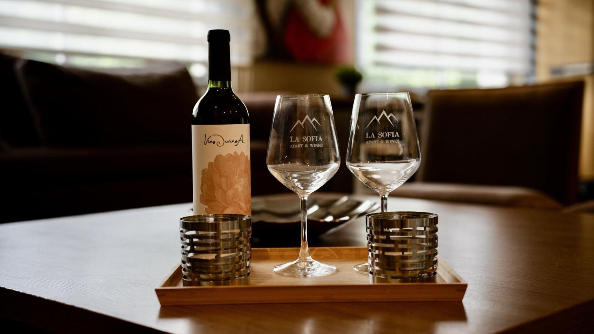La Sofia Apart&wines Mendoza